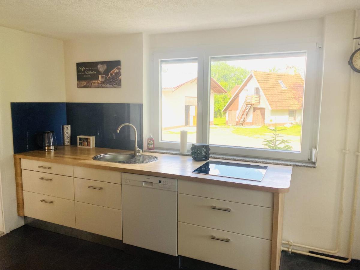 Ferienwohnung Ellenweiler Bis 15 P FDH Kültér fotó